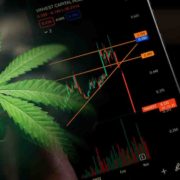 Top US Marijuana Stocks to Watch in October 2023