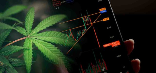 Top US Marijuana Stocks to Watch in October 2023