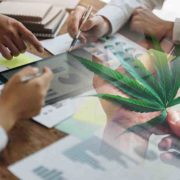Top US Marijuana Stocks to Watch in October 2023: Growth Prospects and Potential Winners