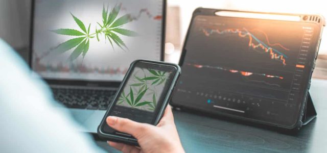 2023’s Cannabis Boom: Profiling the Leading US Marijuana Stocks with Double-Digit Gains