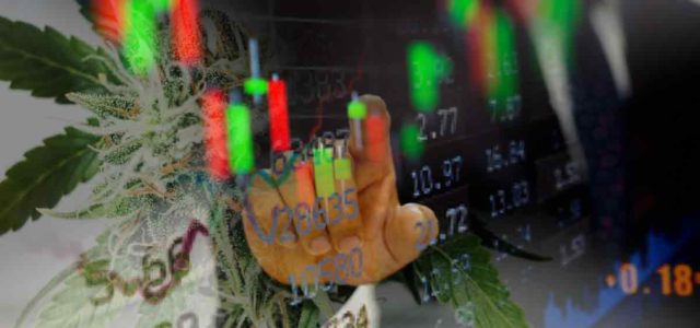 3 Marijuana Stocks To Start The New Week