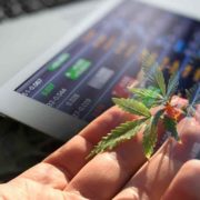 Best Marijuana Penny Stocks To Watch In November 2023