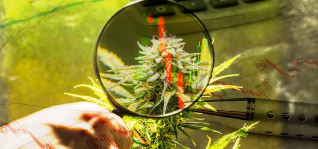 Cannabis Investing 2024: 3 Top Marijuana Stocks For Your Watchlist