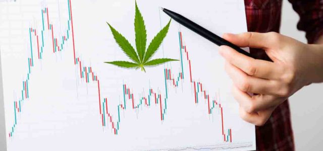 Elevate Your Portfolio: December 2023’s Must-Watch US Marijuana Stocks