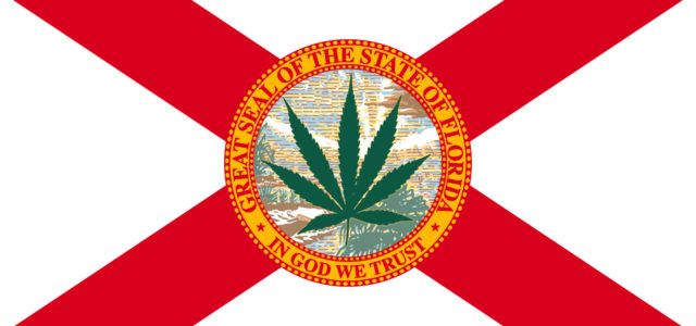 Florida Court Ponders Cannabis Legalization