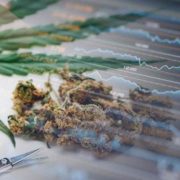 Here Are 3 Marijuana Stocks For Investors To Consider Trading