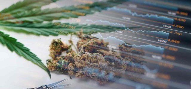 Here Are 3 Marijuana Stocks For Investors To Consider Trading