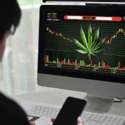 Investing In Legal Cannabis? Here Are 3 Marijuana Stocks For You