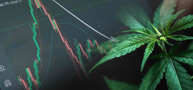 Investing In Marijuana Stocks 2024