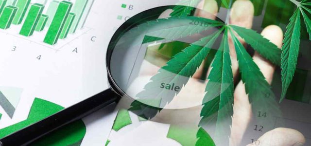 Investor’s Guide: Top Cannabis REITs for November