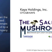 Kaya Holdings (OTCQB:KAYS) Unveils “The Scared Mushroom(TM)”, the First U.S.-Based Psilocybin Center to be Operated by a U.S. Public Company