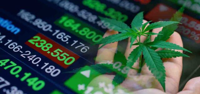 Top Ancillary Cannabis Stocks for Late 2023