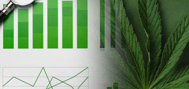 Top Marijuana Stocks For The 2024 Green Rush