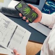 Top Marijuana Stocks To Invest In Today For Future Profits