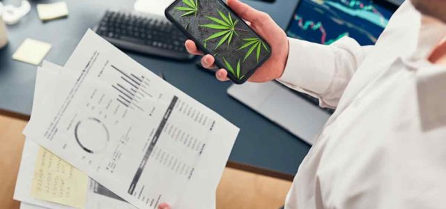 Top Marijuana Stocks To Invest In Today For Future Profits
