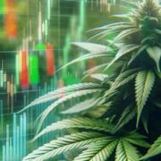 3 Canadian Marijuana Stocks To Watch Today