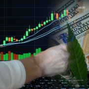 3 Interesting Marijuana Stock Picks For Investors