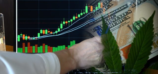 3 Interesting Marijuana Stock Picks For Investors