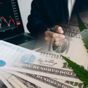 3 Marijuana Stocks To Buy Before The New Year