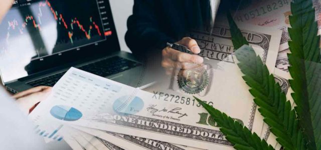 3 Marijuana Stocks To Buy Before The New Year