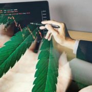 3 Marijuana Stocks To Follow Before The Bell