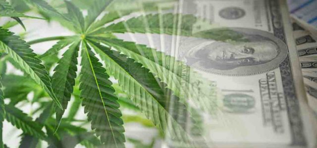 3 Marijuana Stocks To Watch To Start The New Week