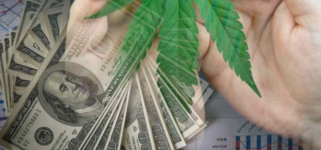 Cannabis Investing 2024: Here Are 3 Marijuana Stocks To Watch