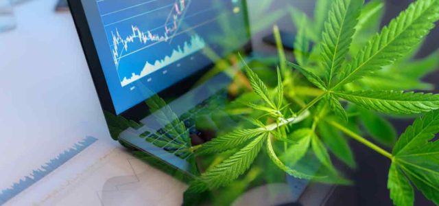 Cannabis Investors Are Focused On Top Canadian Marijuana Stocks