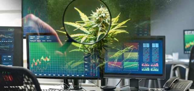 Marijuana Stocks To Watch Cannabis Investors Are Preparing For 2024