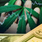 The Best Marijuana Stocks For You To Watch Today