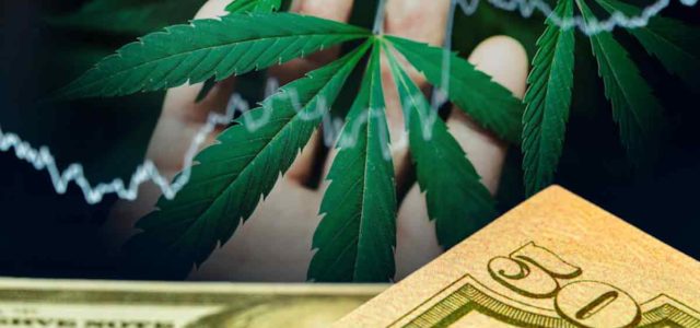 The Best Marijuana Stocks For You To Watch Today