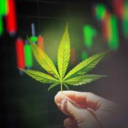 The Best Marijuana Stocks to Watch in December 2023