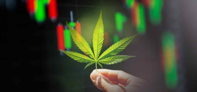 The Best Marijuana Stocks to Watch in December 2023