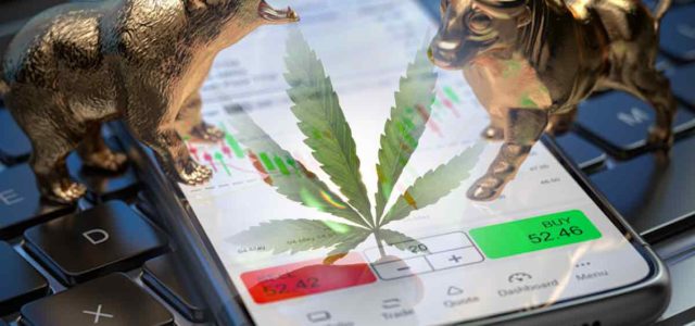 The Cannabis Sector in 2023: Growth Prospects and Market Dynamics