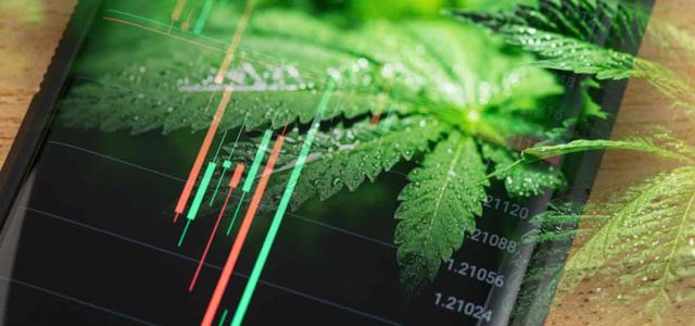 Top Canadian Marijuana Stocks In The Stocks Market Today