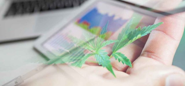 Top Marijuana For Cannabis Investing Today