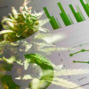 Top Marijuana Stocks Shaping December 2023
