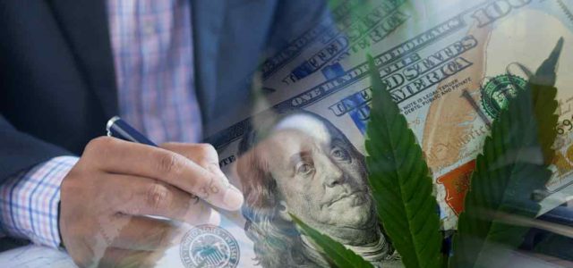 US Marijuana Stocks with High Growth Prospects for 2024