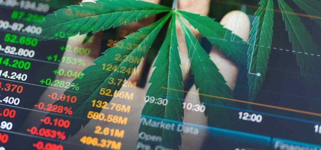 3 Marijuana Stocks To Buy Mid-January 2024