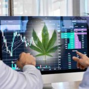 3 Marijuana Stocks To Consider Adding To Your Watchlist