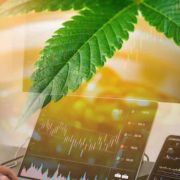 Essential Ancillary Cannabis Stocks to Consider Before February 2024