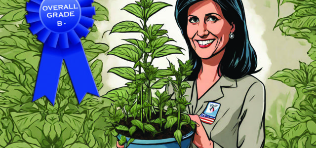 Grading the Presidential Candidates on Cannabis: Nikki Haley