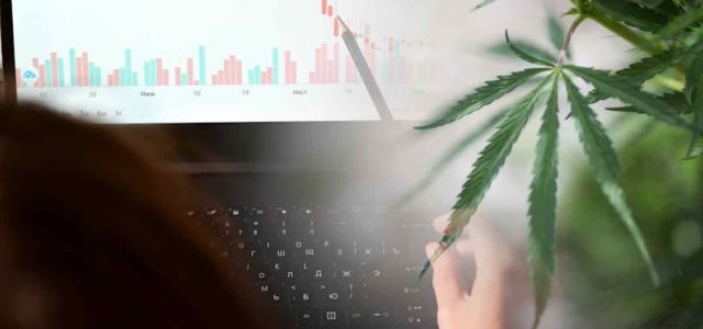 Here Is Why These Marijuana Stocks Could See A Recovery In 2024