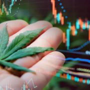 Rising High: Top Cannabis Penny Stocks Below $2 to Watch Now