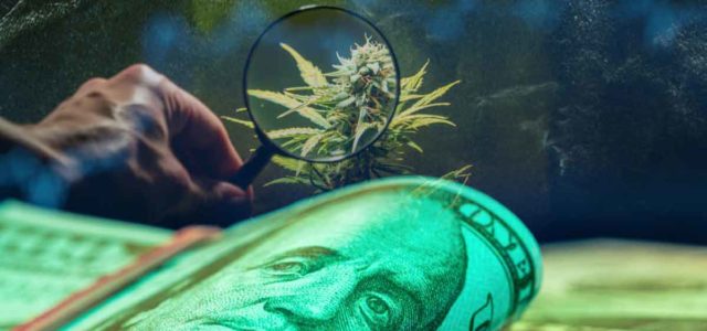 Tips For Marijuana Stock Investing 2024