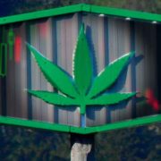 Top Marijuana Stocks Cannabis Investors Are Keeping On Watch