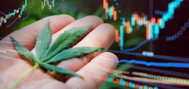 Top Marijuana Stocks To Kick Off Trading In 2024