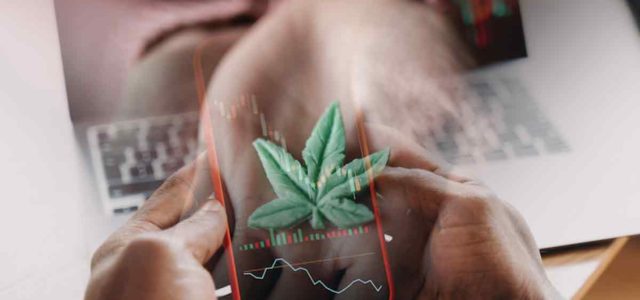 Top Marijuana Stocks To Know This Week