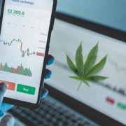 Top Marijuana Stocks To Start The New Year