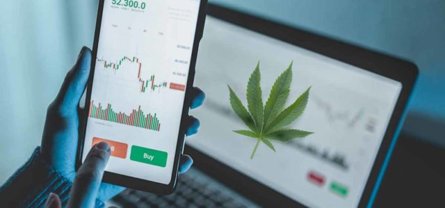 Top Marijuana Stocks To Start The New Year